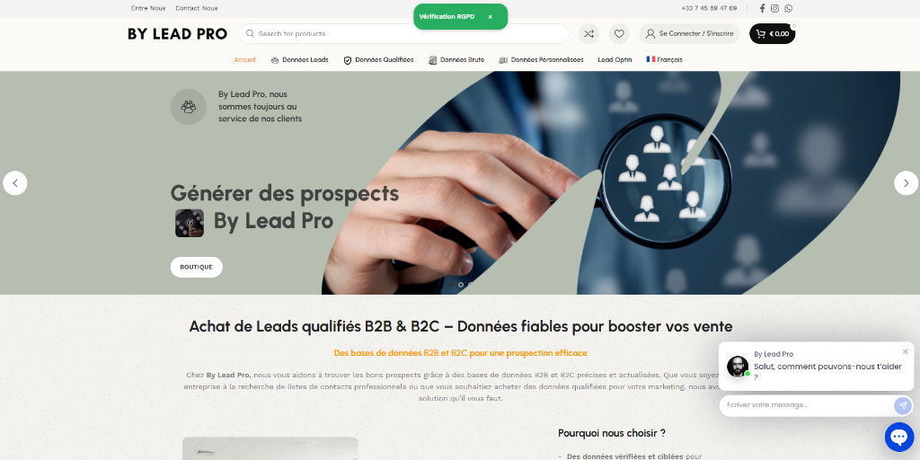 ByLeadPro French marketplace for targeted B2B and B2C lead databases preview